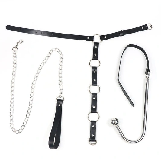 Anal Collar EverydayUse 5853 with and Hook Kinky Leash 0106